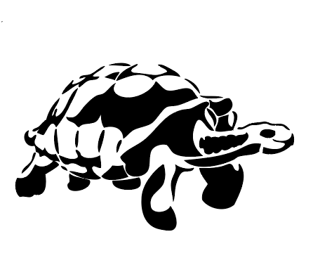 Tortise
